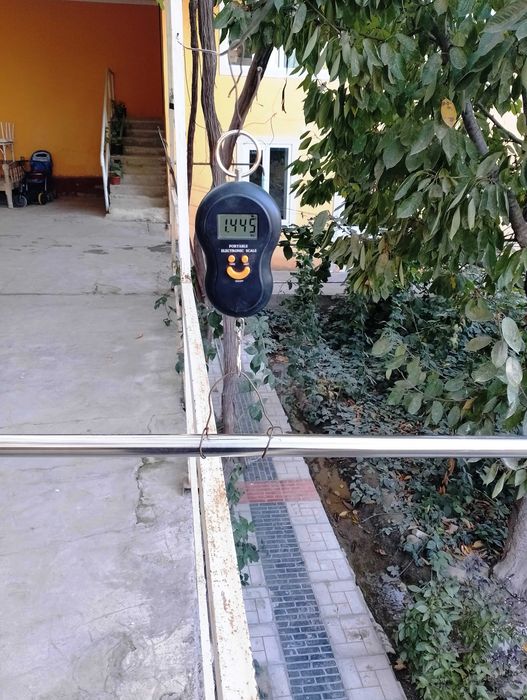 Юқоридаги шохлар учун механик телескопик секатор қайчи