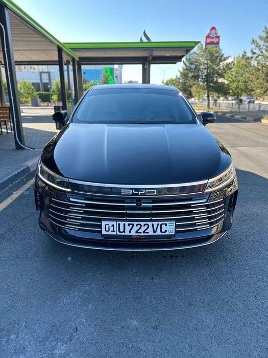 BYD Chazor 120KM Comfort 3-poz IDEAL