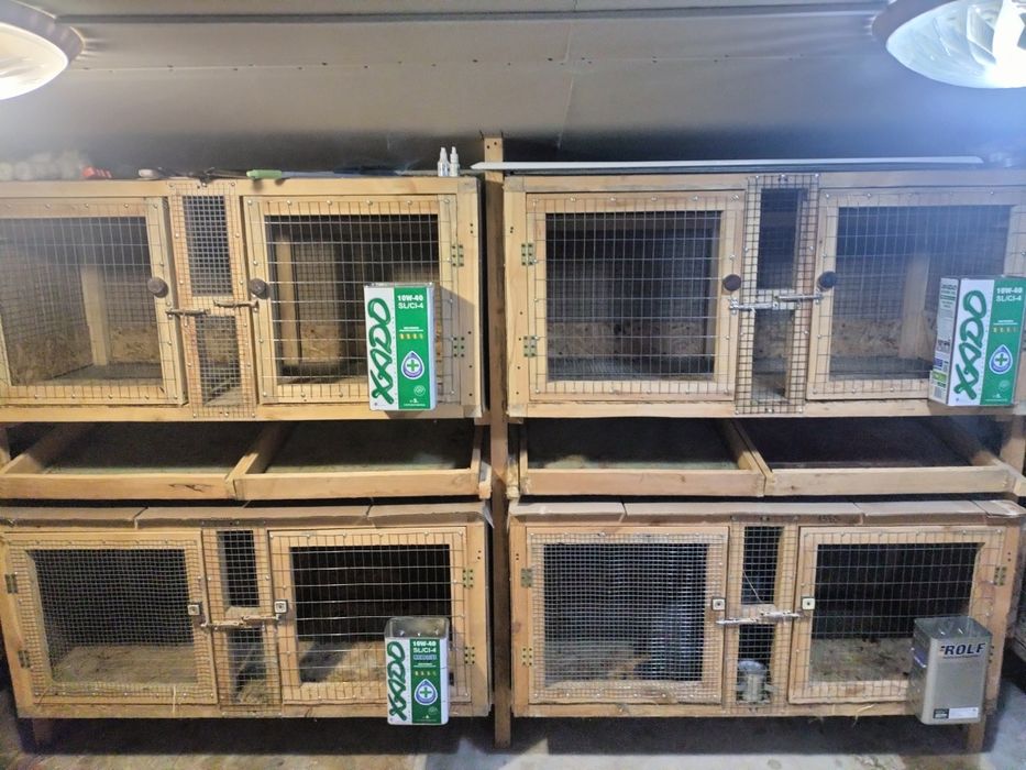 Продаются клетки для кроликов