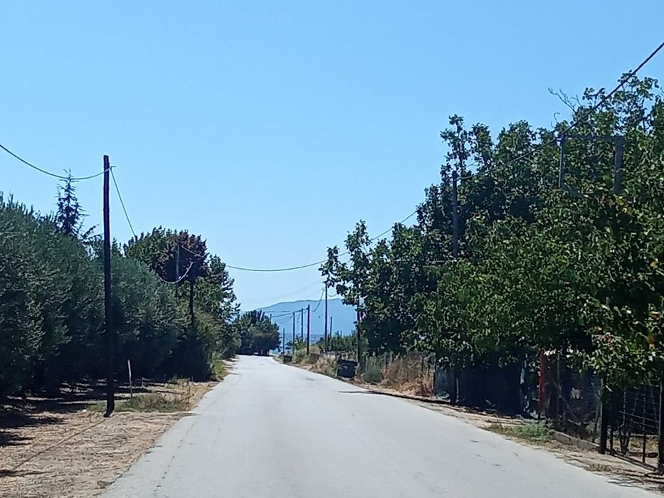 Дава  парцел 440за каравани в Кариани до брега.Ток, вода, шахта.6000 е