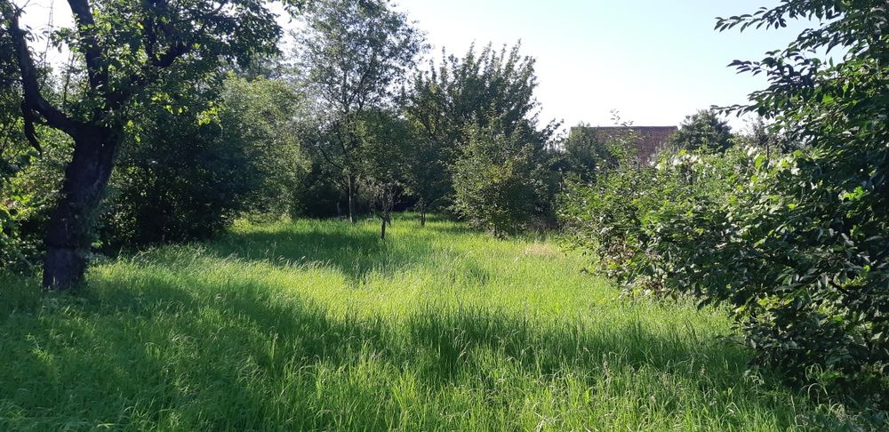 Teren intravilan 988mp de vânzare, Târlungeni între case