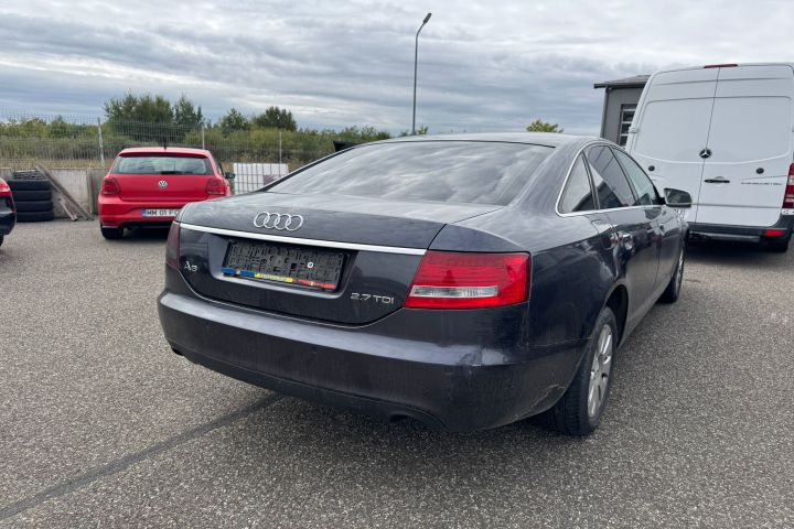 Cheder pe usa spate stanga Audi A6 4F/C6