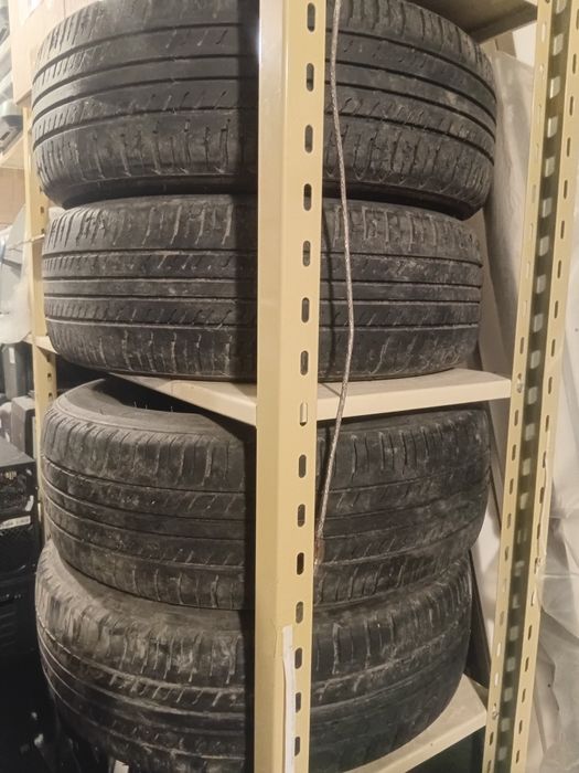 Продам шины летние Triangle