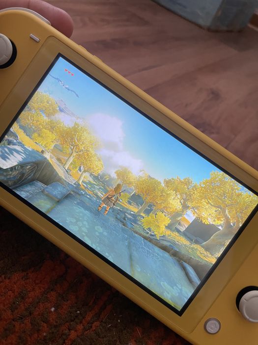 Nintendo switch lite, прошитый