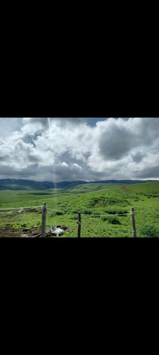 Фазенда сатылады