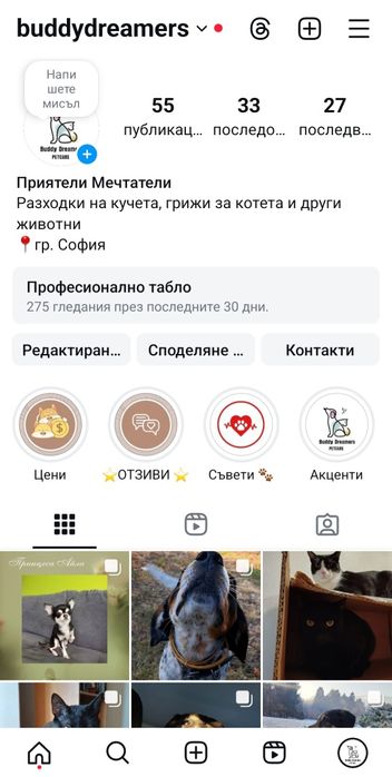 Разходка на кучета, грижи за котки и други домашни любимци. Цени.