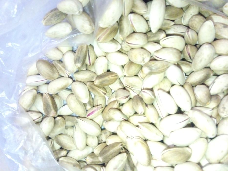 Pista. Surxondaryo togʻni pistasi