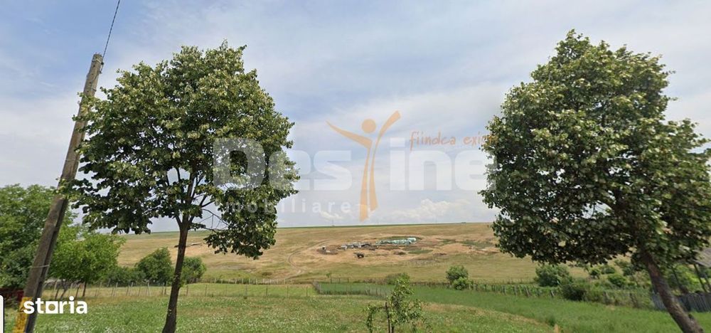 Bogdanesti , Teren Intravilan 4864 Mp