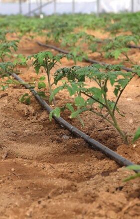 FURTUN/TUB PICURARE IMPORT GRECIA Role 100/400m Garanție 5ani Debit 4L