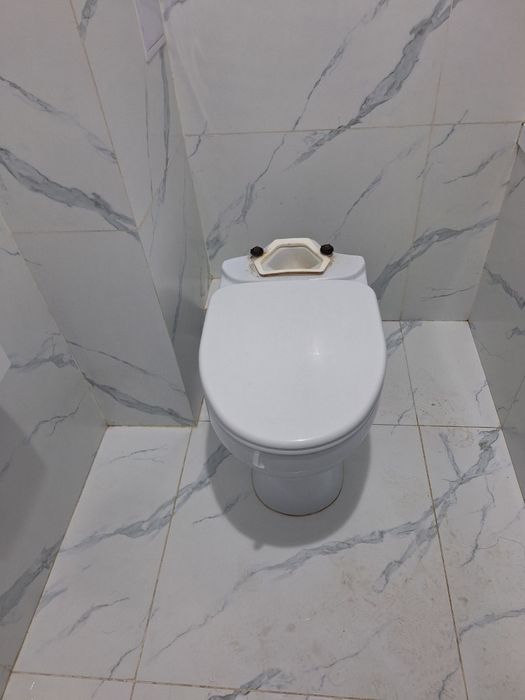Унитаз без бачков