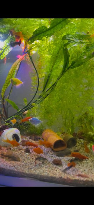 Продам аквариум 150литр и 40 литр