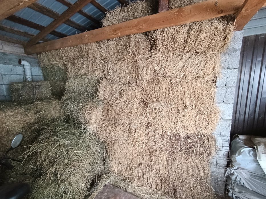 Продам сено люцерно