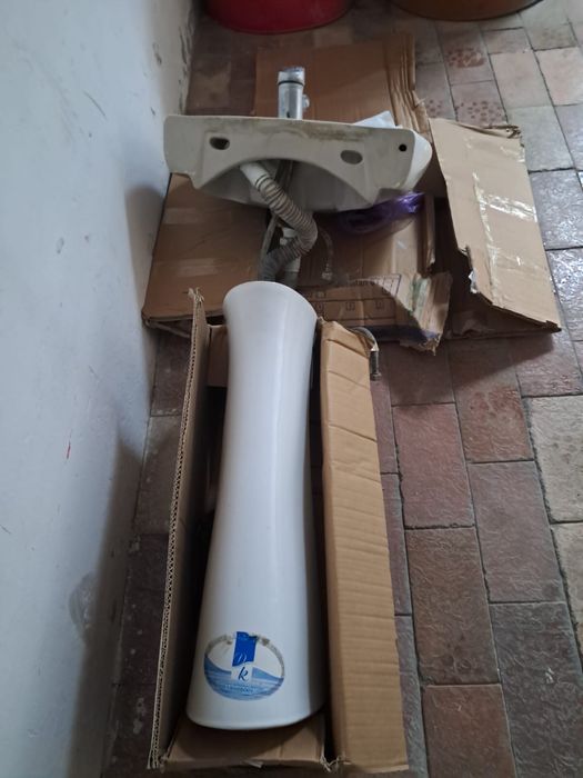 Раквина белый хорош сост