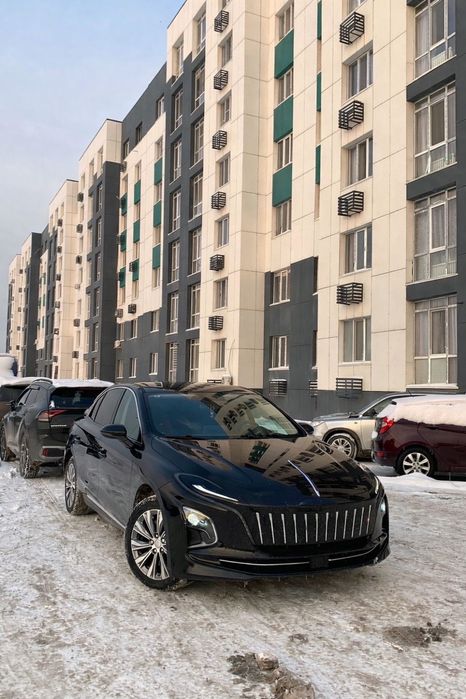 Хончи экм 5 дорест