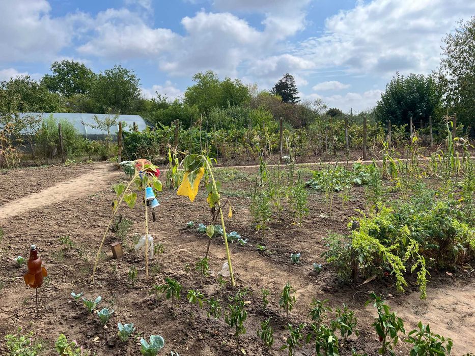 Продавам / Заменям къща с двор в село Бръшлен