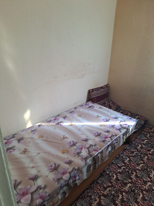 Аренда чирчик 2ком Тройцк