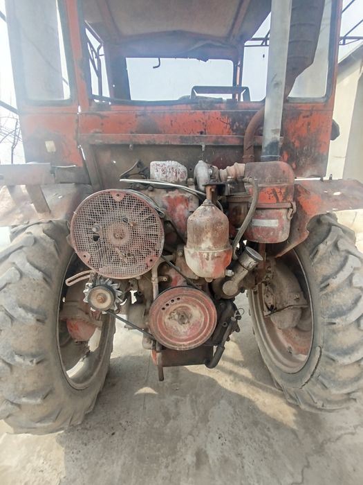 T16 pat pat sotiladi