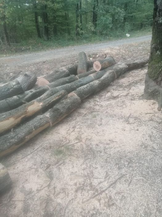 Vând lemn de foc esență tare