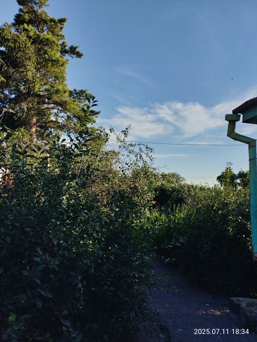 Продам срочно дом