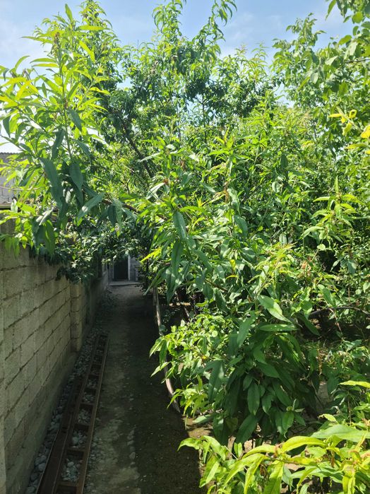 Шахар ичида кулай нархда ховли уй