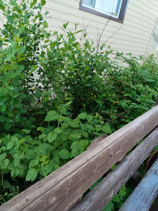 Продам дачу есть все