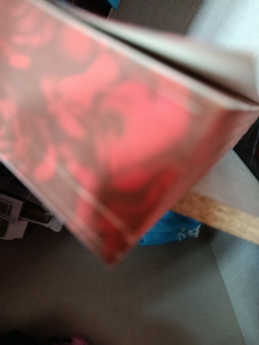 Преследването на Аделайн и Пленяването на Аделайн