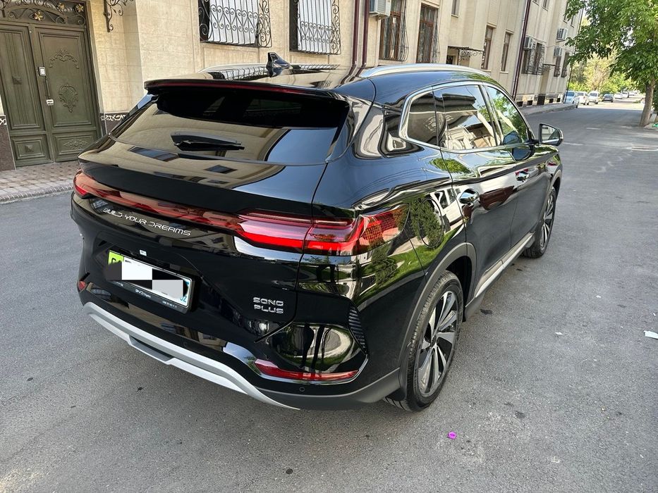 Champion d-mi hybrid Ofitsalniy