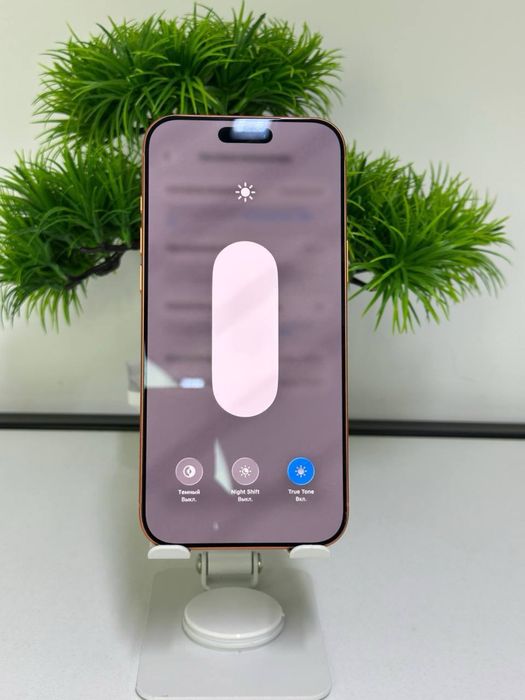 Iphone 17 pro max |256 gb| akb 100%|цп 110 | e-sim