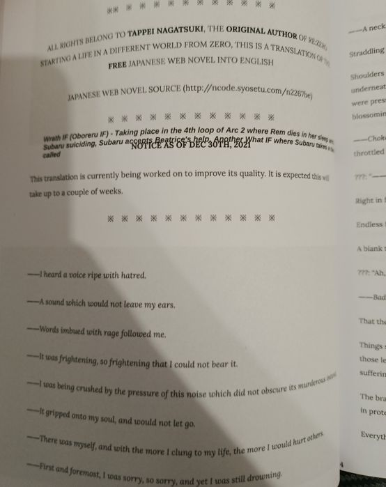 Re Zero IF stories Light Novel