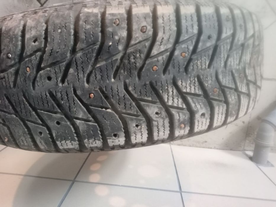 Продам автошина зимний шипы