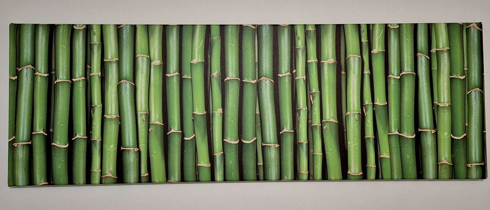 Vand tablouri canvas 60x40cm