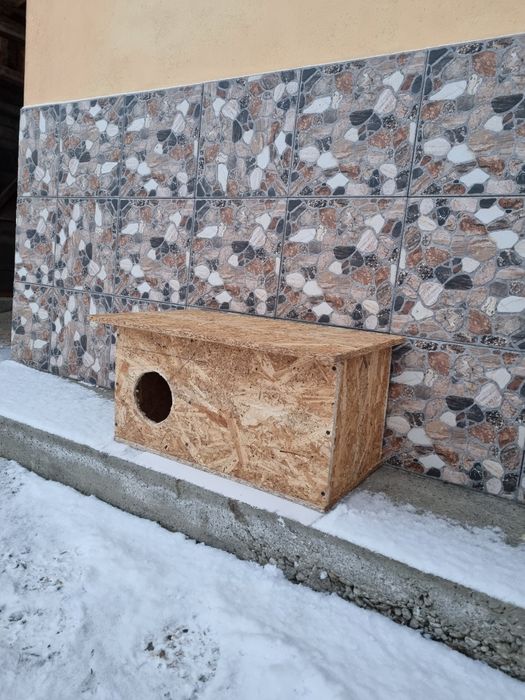 Cuibare rațe sălbatice