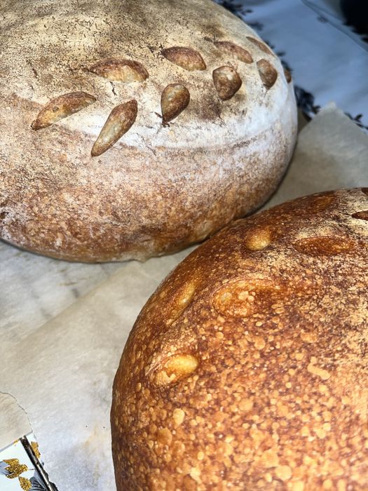 Закваска для домашнего хлеба