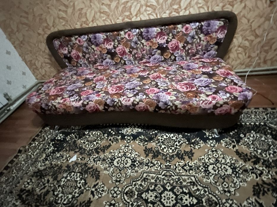 Диван расклодной!