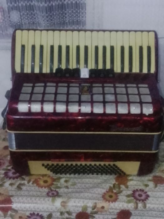 Acordeon parot 96basi