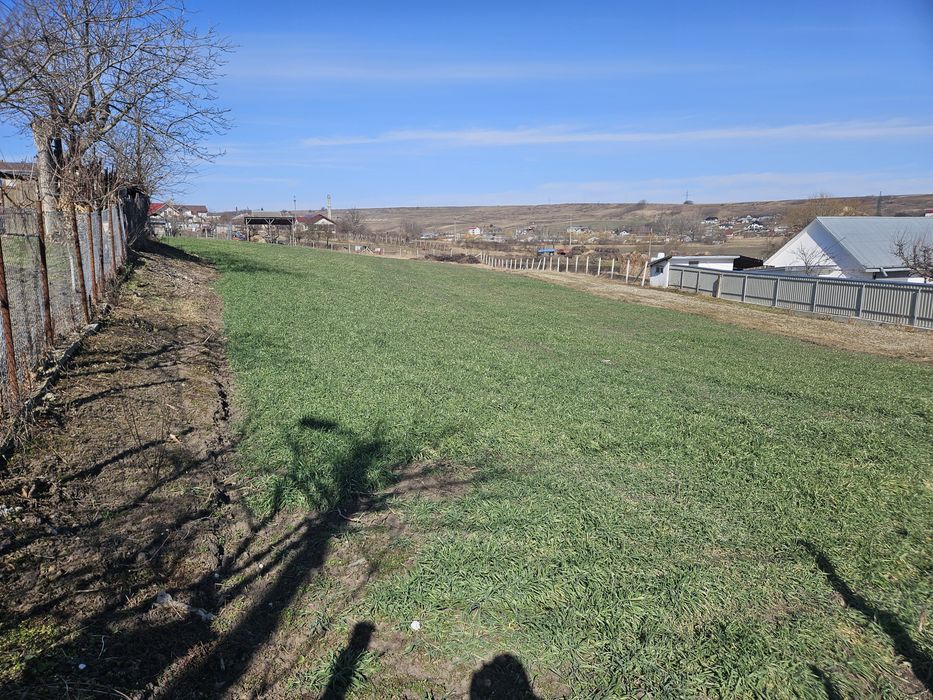 Teren intravilan, loc de casa în Cismea, Rachiti Botosani