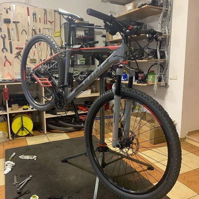 Velosiped ustaxonasi