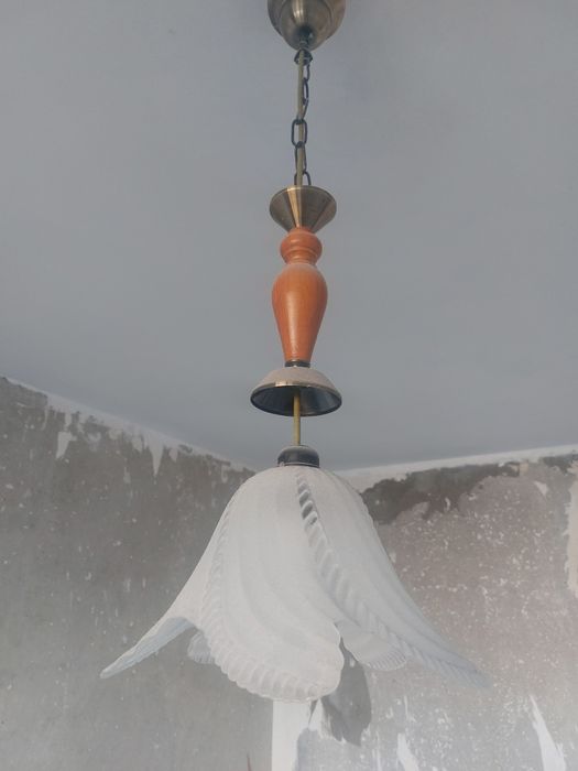 Полилеи стъклени