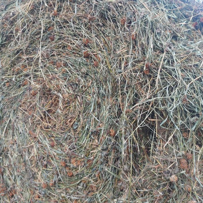 Baloți rotunzi lucerna