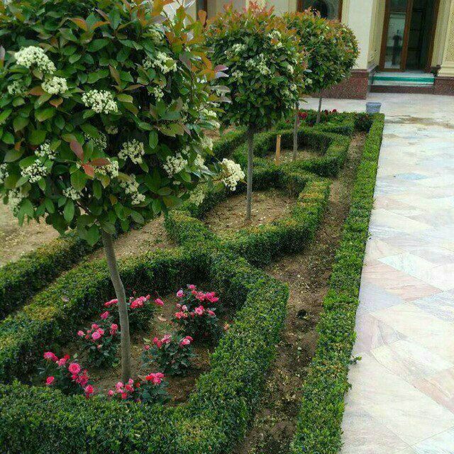 Сантехник/Электрик Газон Ландшафт Полив