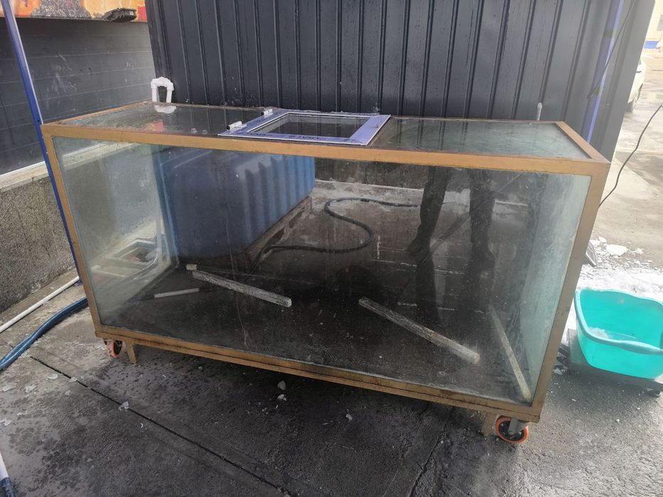 Аквариум сотилади катта ва кичик баликлар усун