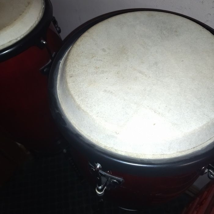 Професионални конги