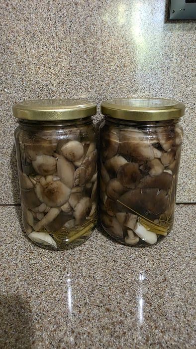 Грибы маринованные