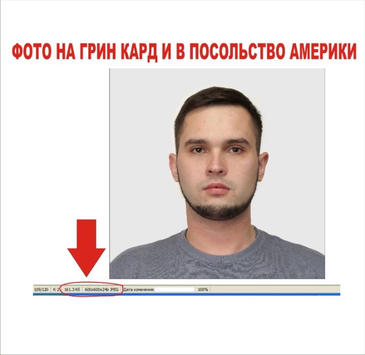 Фото биометрическое для Посольств Америки, Шенген, Россия и др. стран