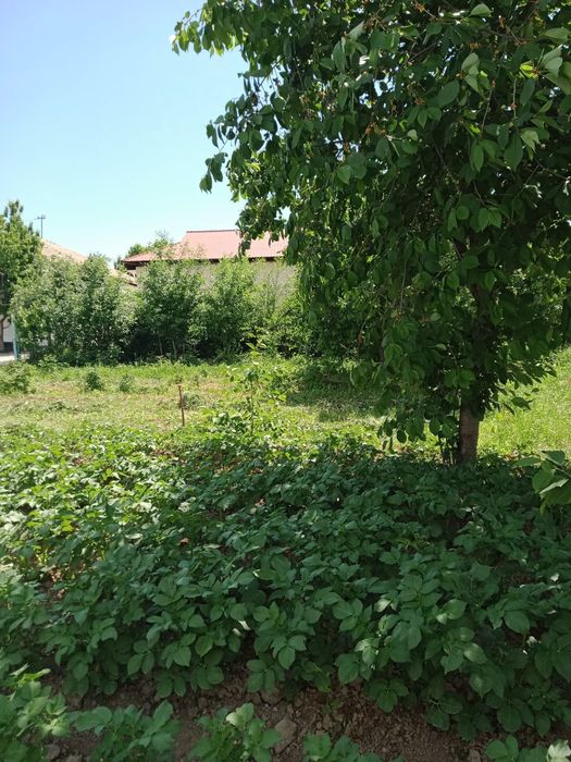 Продается Земляной Участок!