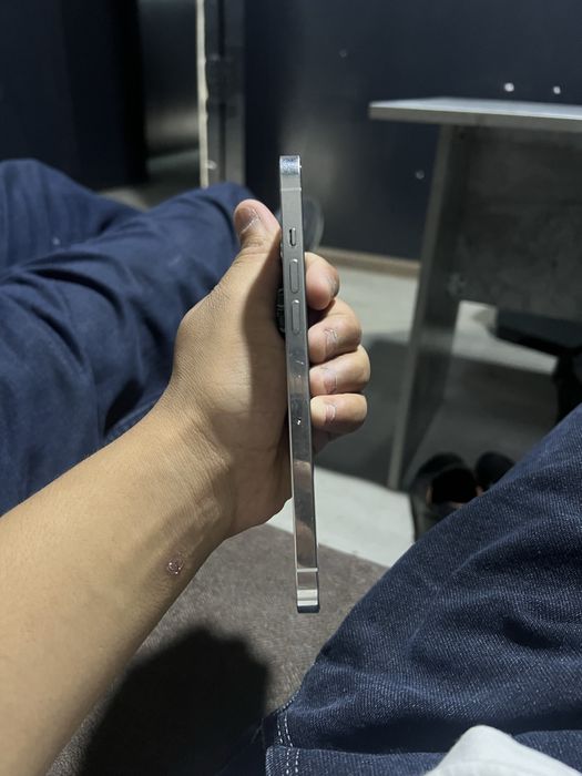 iphone 12 pro maks