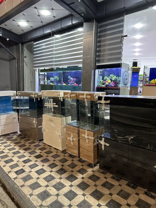 Akvariumlar 100 litr