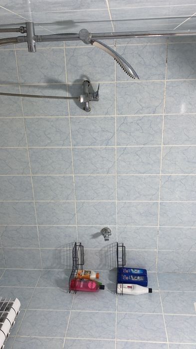 Продам частный дом в с. Мичурино