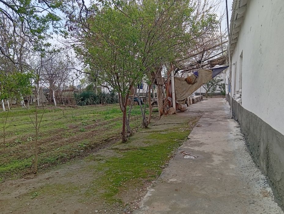 7 hona uy 23 sotix erli hovli sotiladi