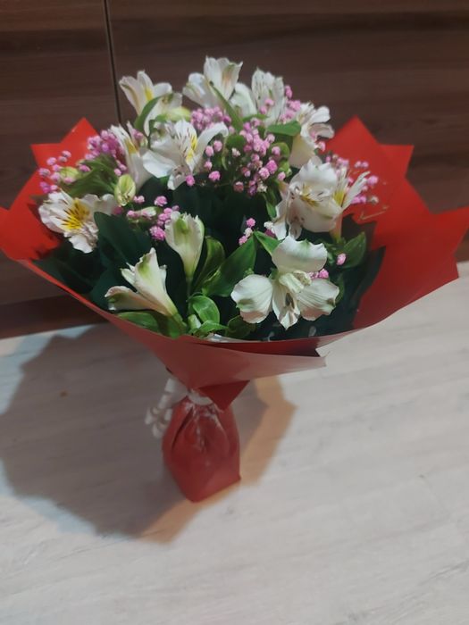 Цветы альстромерия